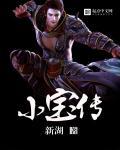 小宝传奇国语版在线观看