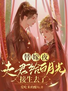 替嫁后夫君篡位了格格党