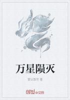 万星陨灭定乾纲