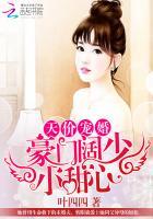 天价宠婚豪门阔少小甜心 叶四四