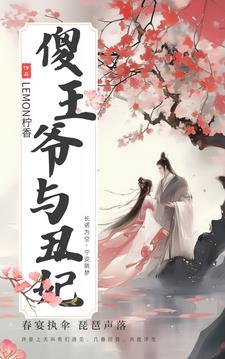 傻王的王妃是神医