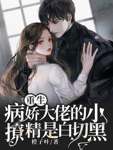 重生病娇大佬的小撩精是白切黑正版