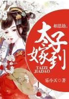 相思疯子太子妃小温柔呀