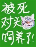 被死对头饲养了作者宋昭昭