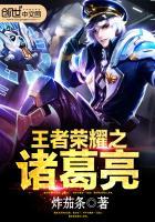 王者荣耀诸葛亮白泽皮肤多少钱