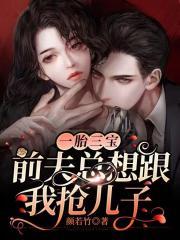 一胎三宝前夫总想跟我抢儿子免费阅读