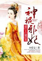 邪王独宠神棍邪妃全文阅读