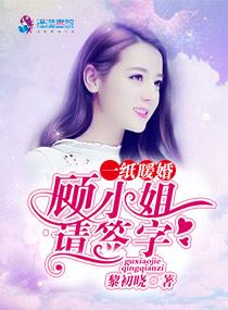 一纸暖婚顾小姐请签字免费阅读全文