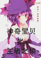 神奇宝贝之王者之境免费观看