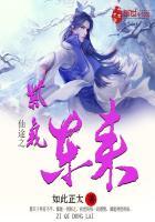 修仙之紫气东来