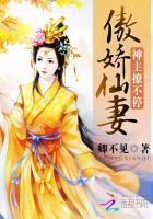 傲娇神君是神坑免费阅读