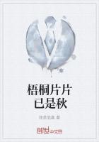 梧桐叶上已三更