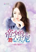 亿万婚宠1帝少夫人