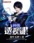 神级透视眼完整版