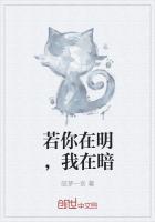 我在暗处什么意思