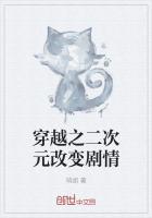 穿越之二次元系统免费阅读