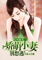 权少蜜宠小娇妻权