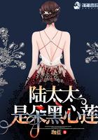 陆太太很甜免费阅读