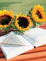 妈咪再嫁顶级豪门