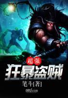 盗贼和狂暴战哪个简单