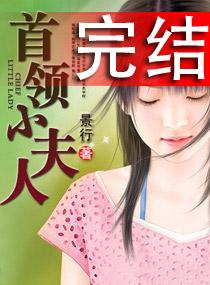 首领小夫人墨舞碧歌