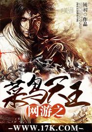 网游之菜鸟天王TXT