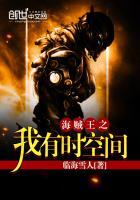 海贼王之我有无限经验