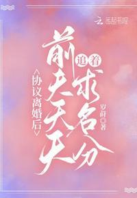 离婚后前夫总是想追我结局是什么