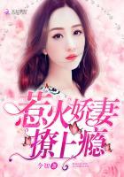 惹火娇妻撩上瘾路慢慢凌