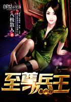 至尊兵王在都市百度百科