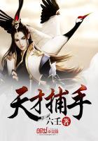 天才捕手计划系列共多少本书