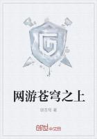 苍穹之上免费阅读