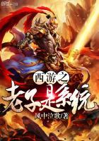 西游之老子是大反派免费阅读