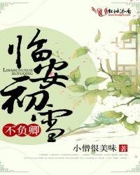 临安初雨背后的故事