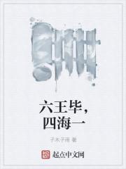 六王毕四海一毕的意思是什么