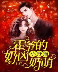 霍爷的小野猫奶凶奶萌正版