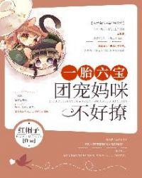 一胎六宝团宠妈咪不好撩免费阅读
