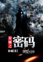 异域密码南晓楼和月无华