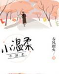 小温柔春风榴火免费阅读