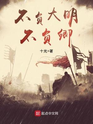 不负大明不负卿顶点