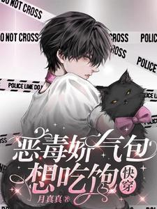 快穿恶毒女配她娇媚动人