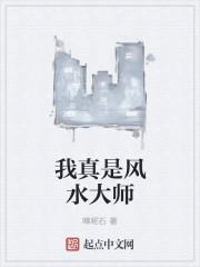 我真是风水大师 笔趣阁