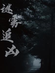 谜雾追凶李兰迪