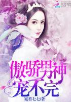 傲娇男神宠妻上瘾.免费阅读