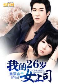 我的26岁美女董事长精校版