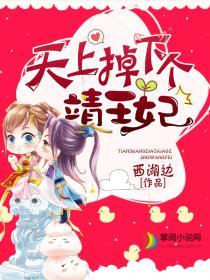 天上掉下个靖王妃短剧免费观看第22集