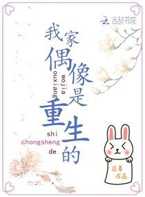 我家偶像是重生的TXT