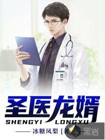 圣医龙婿TXT