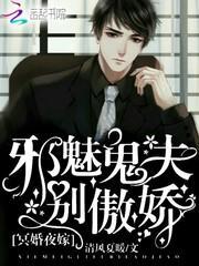 冥婚夜嫁∶鬼夫来袭