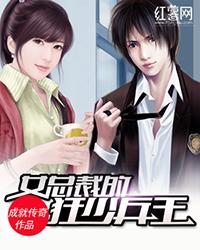 女总裁的狂暴兵王